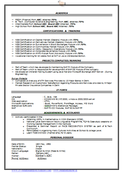 Resume format for it professional in india